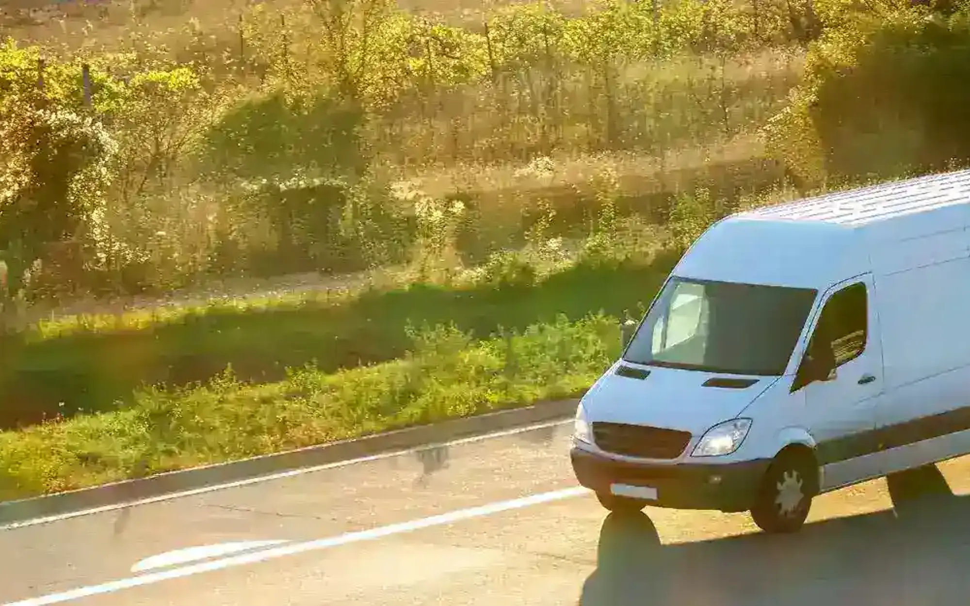 Van driving in spring